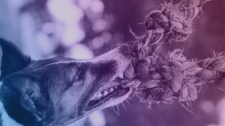 The Power of Strong Employer Branding